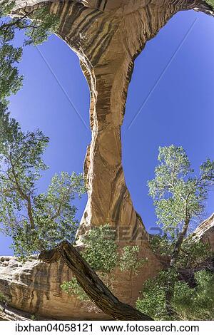 "Sipapu Bridge, natural arch, Natural Bridges National Monument, Utah, United States, North America" View Large Photo Image Stock Image - "Sipapu Bridge, natural arch, Natural Bridges National Monument, Utah, United States, North America". Fotosearch