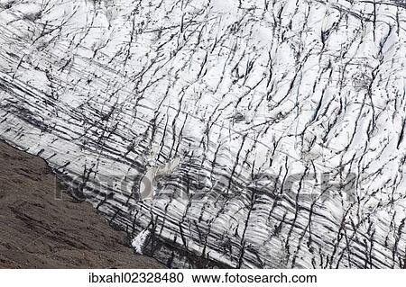 Stock Image - "Skaftafellsjoekull Glacier, East Iceland, Iceland, Europe". Fotosearch