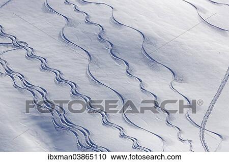 "Ski tracks in deep snow, Unterdamulser Alpe, mountain pasture, Damuls, Bregenz Forest, Vorarlberg, Austria, Europe" View Large Photo Image Stock Image - "Ski tracks in deep snow, Unterdamulser Alpe, mountain pasture, Damuls, Bregenz Forest, Vorarlberg, Austria, Europe". Fotosearch