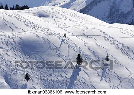 "Ski tracks in deep snow, Unterdamulser Alpe, mountain pasture, Damuls, Bregenz Forest, Vorarlberg, Austria, Europe" View Large Photo Image Stock Photograph - "Ski tracks in deep snow, Unterdamulser Alpe, mountain pasture, Damuls, Bregenz Forest, Vorarlberg, Austria, Europe". Fotosearch