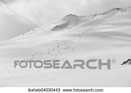 "Ski tracks in the snow at Kavriktinden, Lyngsalpene, Lyngen, Troms, Norway, Europe" View Large Photo Image Stock Image - "Ski tracks in the snow at Kavriktinden, Lyngsalpene, Lyngen, Troms, Norway, Europe". Fotosearch