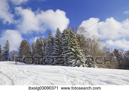 "Skiing tracks in a snow-covered winter landscape, Leitzachtal, bei Elbach, Upper Bavaria, Bavaria, Germany, Europe" View Large Photo Image Stock Image - "Skiing tracks in a snow-covered winter landscape, Leitzachtal, bei Elbach, Upper Bavaria, Bavaria, Germany, Europe". Fotosearch
