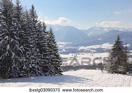 "Skiing tracks, wedeln, above Leizachtal Valley on a sunny winter's day, Leitzachtal, bei Elbach, Upper Bavaria, Bavaria, Germany, Europe" View Large Photo Image Stock Image - "Skiing tracks, wedeln, above Leizachtal Valley on a sunny winter's day, Leitzachtal, bei Elbach, Upper Bavaria, Bavaria, Germany, Europe". Fotosearch