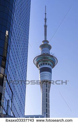 "Skytower, a landmark of Auckland, Auckland, Auckland Region, New Zealand, Oceania" View Large Photo Image Stock Image - "Skytower, a landmark of Auckland, Auckland, Auckland Region, New Zealand, Oceania". Fotosearch