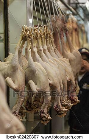"Slaughtered poultry, poultry section of a market in Lima, Peru, South America" View Large Photo Image Stock Photo - "Slaughtered poultry, poultry section of a market in Lima, Peru, South America". Fotosearch