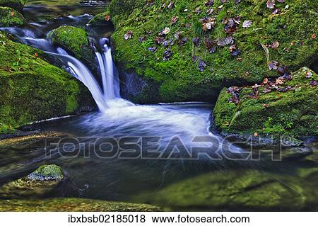"Small creek in a forest with a waterfall, Bavarian Forest National Park, Bavaria, Germany, Europe" View Large Photo Image Stock Photo - "Small creek in a forest with a waterfall, Bavarian Forest National Park, Bavaria, Germany, Europe". Fotosearch