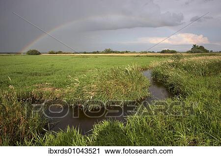 Stock Image - "Small creek with rainbow, Wuemmewiesen nature reserve, Bremen, Germany, Europe". Fotosearch
