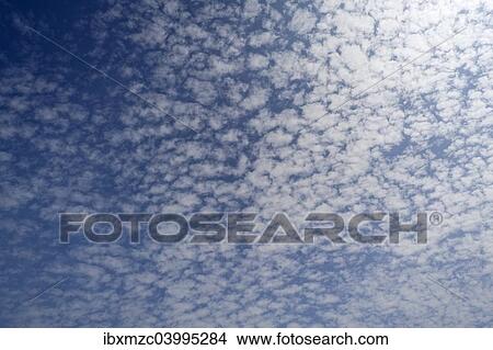 "Small fluffy clouds, Cirrocumulus" View Large Photo Image Picture - "Small fluffy clouds, Cirrocumulus". Fotosearch