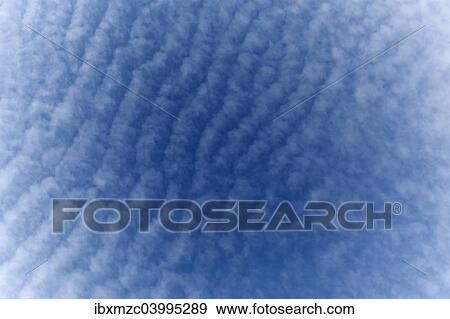 "Small fluffy clouds, Cirrocumulus" View Large Photo Image Stock Photo - "Small fluffy clouds, Cirrocumulus". Fotosearch