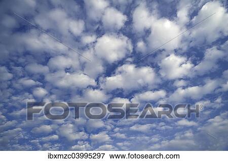 "Small fluffy clouds, Cirrocumulus" View Large Photo Image Stock Photo - "Small fluffy clouds, Cirrocumulus". Fotosearch