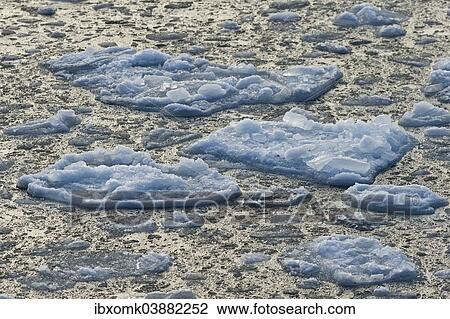 "Small icebergs, edge of pack-ice, Arctic Ocean, Spitsbergen Island, Svalbard Archipelago, Svalbard and Jan Mayen, Norway, Europe" View Large Photo Image Stock Image - "Small icebergs, edge of pack-ice, Arctic Ocean, Spitsbergen Island, Svalbard Archipelago, Svalbard and Jan Mayen, Norway, Europe". Fotosearch