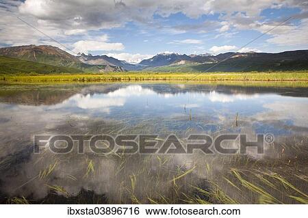 "Small lake, Alaska Range mountain range, Alaska, United States, North America" View Large Photo Image Stock Photograph - "Small lake, Alaska Range mountain range, Alaska, United States, North America". Fotosearch