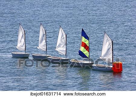 "Small Optimist dinghies, sailing school, sailing lessons for children" View Large Photo Image Picture - "Small Optimist dinghies, sailing school, sailing lessons for children". Fotosearch