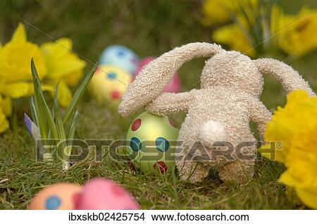 "Small soft toy, bunny, in between Easter eggs and yellow daffodils" View Large Photo Image Picture - "Small soft toy, bunny, in between Easter eggs and yellow daffodils". Fotosearch