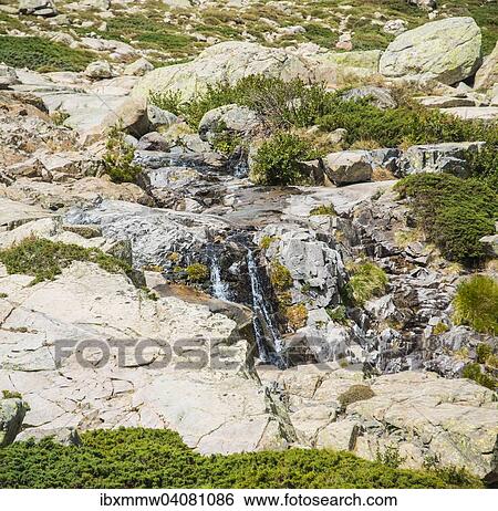 "Small water cascade, river Golo, Parc naturel regional de Corse, Regional Natural Park of Corsica, Corsica, France, Europe" View Large Photo Image Stock Photograph - "Small water cascade, river Golo, Parc naturel regional de Corse, Regional Natural Park of Corsica, Corsica, France, Europe". Fotosearch