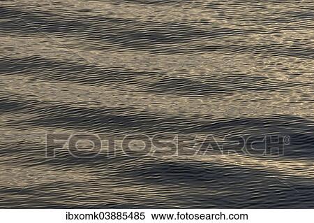 "Small waves, ocean surface, Arctic Ocean, Spitsbergen, Svalbard archipelago, Svalbard and Jan Mayen, Norway, Europe" View Large Photo Image Stock Photography - "Small waves, ocean surface, Arctic Ocean, Spitsbergen, Svalbard archipelago, Svalbard and Jan Mayen, Norway, Europe". Fotosearch