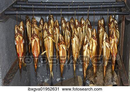Stock Image - "Smoked trout hanging in a smokehouse, Fuschl, Austria, Europe". Fotosearch