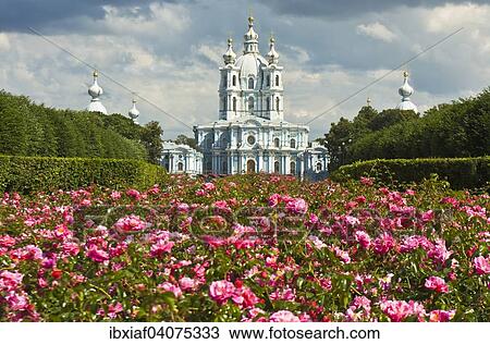 "Smolny Convent or Smolny Convent of the Resurrection, Saint Petersburg, Russia, Europe" View Large Photo Image Stock Image - "Smolny Convent or Smolny Convent of the Resurrection, Saint Petersburg, Russia, Europe". Fotosearch