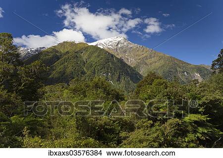 "Snow-capped Mount Cuttance, 1436m, Mount Aspiring National Park, West Coast Region, New Zealand, Oceania" View Large Photo Image Picture - "Snow-capped Mount Cuttance, 1436m, Mount Aspiring National Park, West Coast Region, New Zealand, Oceania". Fotosearch