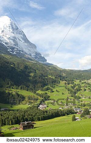 "Snow-capped north face of Mt Eiger, green meadows, Grindelwald, Bernese Oberland, Canton of Bern, Alps, Switzerland, Europe" View Large Photo Image Stock Photography - "Snow-capped north face of Mt Eiger, green meadows, Grindelwald, Bernese Oberland, Canton of Bern, Alps, Switzerland, Europe". Fotosearch