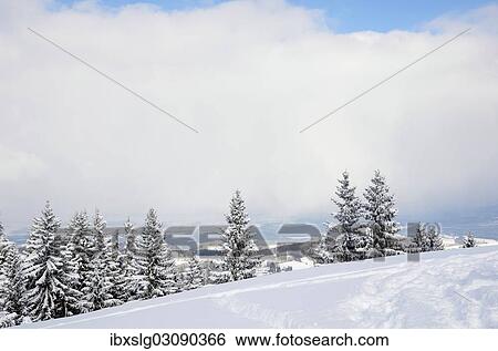 "Snow clouds over the Bavarian alpine upland, Leitzachtal, bei Elbach, Upper Bavaria, Bavaria, Germany, Europe" View Large Photo Image Stock Photograph - "Snow clouds over the Bavarian alpine upland, Leitzachtal, bei Elbach, Upper Bavaria, Bavaria, Germany, Europe". Fotosearch