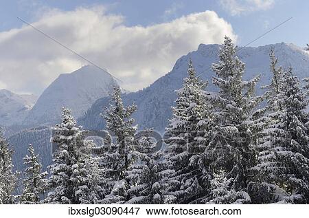 "Snow clouds over winter mountain landscape, Mt Wendelstein and Mt Breitenstein, Leitzachtal, bei Elbach, Upper Bavaria, Bavaria, Germany, Europe" View Large Photo Image Stock Photo - "Snow clouds over winter mountain landscape, Mt Wendelstein and Mt Breitenstein, Leitzachtal, bei Elbach, Upper Bavaria, Bavaria, Germany, Europe". Fotosearch