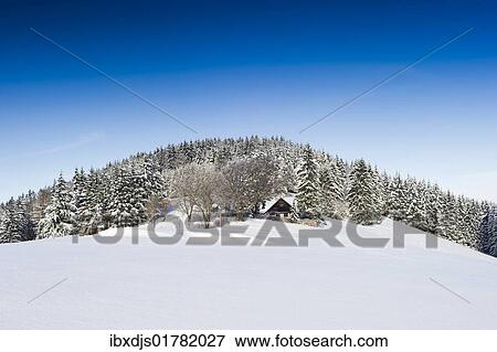 Stock Photo - "Snow-covered firs and a lodge in the southern Black Forest mountain range, Baden-Wuerttemberg, Germany, Europe". Fotosearch