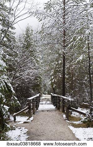 "Snow-covered forest, trail with a bridge around Lake Toblach, Lago di Dobbiaco, Toblach, Val Pusteria, Alto Adige, Trentino-Alto Adige, Italy, Europe" View Large Photo Image Stock Photo - "Snow-covered forest, trail with a bridge around Lake Toblach, Lago di Dobbiaco, Toblach, Val Pusteria, Alto Adige, Trentino-Alto Adige, Italy, Europe". Fotosearch