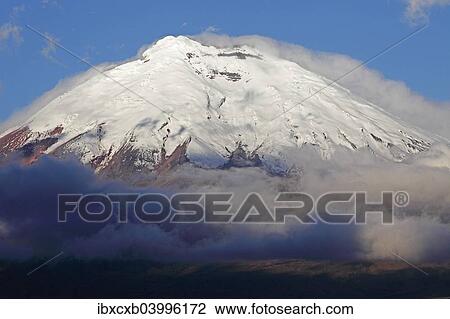 "Snow-covered summit of Cotopaxi volcano rising from a cloud cover, Cotopaxi Province, Ecuador, South America" View Large Photo Image Stock Image - "Snow-covered summit of Cotopaxi volcano rising from a cloud cover, Cotopaxi Province, Ecuador, South America". Fotosearch
