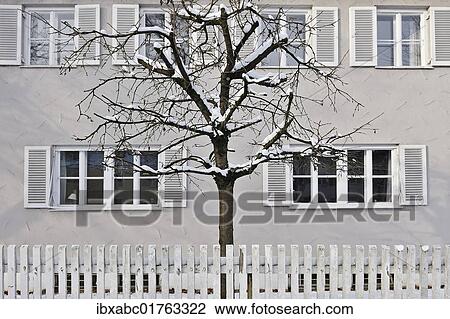 "Snow-covered tree behind a white fence, Harlaching, Munich, Bavaria, Germany, Europe" View Large Photo Image Stock Image - "Snow-covered tree behind a white fence, Harlaching, Munich, Bavaria, Germany, Europe". Fotosearch