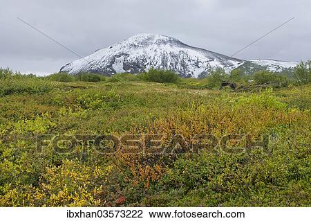 "Snow-covered Vindbelgjarfjall mountain, Skutustaoir, Northeastern Region, Iceland, Europe" View Large Photo Image Stock Image - "Snow-covered Vindbelgjarfjall mountain, Skutustaoir, Northeastern Region, Iceland, Europe". Fotosearch
