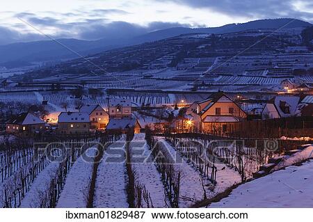 "Snow-covered vineyards in the evening twilight, Weissenkirchen in Wachau, Waldviertel, Forest Quarter, Lower Austria, Austria, Europe" View Large Photo Image Stock Photo - "Snow-covered vineyards in the evening twilight, Weissenkirchen in Wachau, Waldviertel, Forest Quarter, Lower Austria, Austria, Europe". Fotosearch