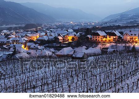 "Snow-covered vineyards in the evening twilight, Weissenkirchen in Wachau, Waldviertel, Forest Quarter, Lower Austria, Austria, Europe" View Large Photo Image Stock Photo - "Snow-covered vineyards in the evening twilight, Weissenkirchen in Wachau, Waldviertel, Forest Quarter, Lower Austria, Austria, Europe". Fotosearch