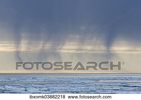 "Snow shower from dark clouds, edge of pack-ice, Arctic Ocean, Spitsbergen Island, Svalbard Archipelago, Svalbard and Jan Mayen, Norway, Europe" View Large Photo Image Stock Photo - "Snow shower from dark clouds, edge of pack-ice, Arctic Ocean, Spitsbergen Island, Svalbard Archipelago, Svalbard and Jan Mayen, Norway, Europe". Fotosearch