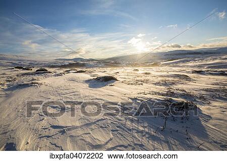 "Snowscape, Dovrefjell? ÇôSunndalsfjella National Park, Norway, Europe" View Large Photo Image Stock Image - "Snowscape, Dovrefjell? ÇôSunndalsfjella National Park, Norway, Europe". Fotosearch