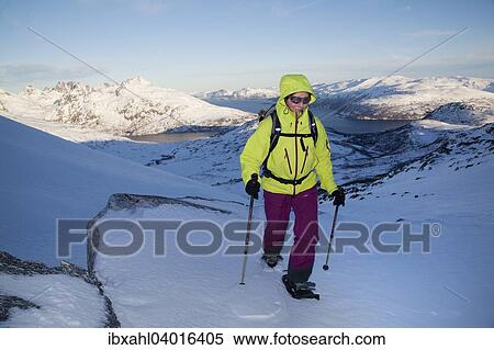 "Snowshoe hikers on Durmalstinden, Kvaloya, Tromso, Troms, Norway, Europe" View Large Photo Image Stock Photography - "Snowshoe hikers on Durmalstinden, Kvaloya, Tromso, Troms, Norway, Europe". Fotosearch