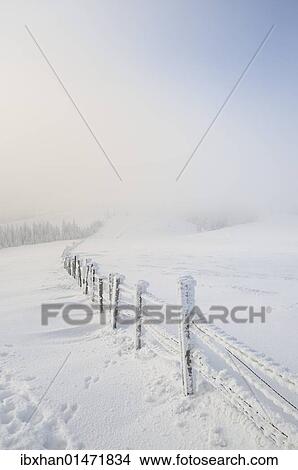 "Snowy fence, Mt. Unterberg, Lower Austria, Austria, Europe" View Large Photo Image Picture - "Snowy fence, Mt. Unterberg, Lower Austria, Austria, Europe". Fotosearch