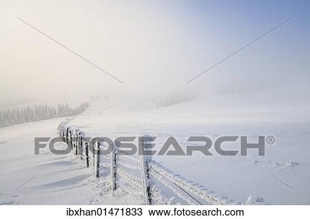 "Snowy fence, Mt. Unterberg, Lower Austria, Austria, Europe" View Large Photo Image Stock Image - "Snowy fence, Mt. Unterberg, Lower Austria, Austria, Europe". Fotosearch