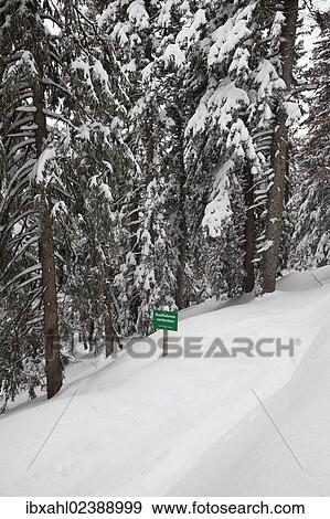 "Snowy forest with a sign, lettering """"Radfahren verboten"""", German for """"No cycling"""", Hoher Kranzberg mountain, Mittenwald, Bavaria, Germany, Europe" View Large Photo Image Stock Photo - "Snowy forest with a sign, lettering """"Radfahren verboten"""", German for """"No cycling"""", Hoher Kranzberg mountain, Mittenwald, Bavaria, Germany, Europe". Fotosearch