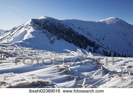 Stock Photograph - "Snowy landscape, Hirschberg, Bavaria, Germany, Europe". Fotosearch
