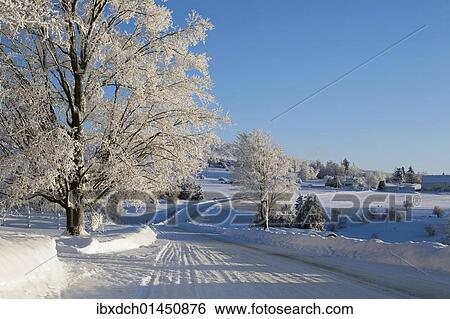 Stock Photograph - "Snowy landscape in winter, Canada, North America". Fotosearch