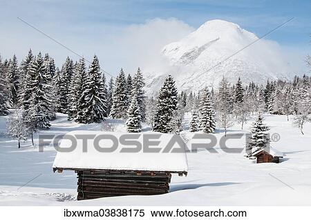 "Snowy landscape with Mt Hohe Munde, Seefeld Plateau, Seefeld, Tyrol, Austria, Europe" View Large Photo Image Stock Photography - "Snowy landscape with Mt Hohe Munde, Seefeld Plateau, Seefeld, Tyrol, Austria, Europe". Fotosearch