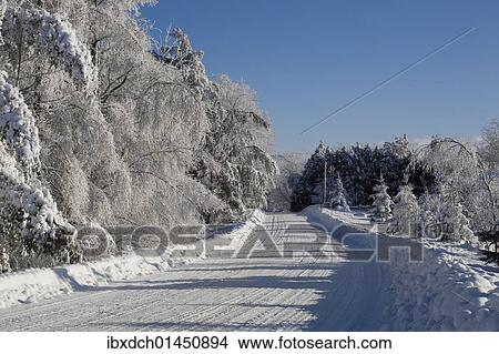 "Snowy road in winter, Canada, North America" View Large Photo Image Picture - "Snowy road in winter, Canada, North America". Fotosearch