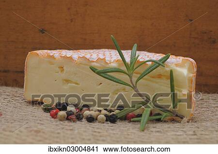 "Soft cheese with peppercorns and a sprig of rosemary, Germany, Europe" View Large Photo Image Stock Image - "Soft cheese with peppercorns and a sprig of rosemary, Germany, Europe". Fotosearch