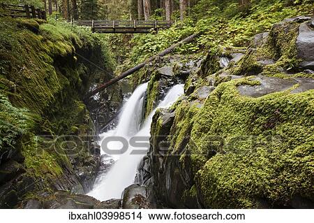 "Sol Duc Falls in the Sol Duc River Valley, Sol Duc Valley, Washington, United States, North America" View Large Photo Image Picture - "Sol Duc Falls in the Sol Duc River Valley, Sol Duc Valley, Washington, United States, North America". Fotosearch