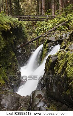Stock Image - "Sol Duc Falls in the Sol Duc River Valley, Sol Duc Valley, Washington, United States, North America". Fotosearch