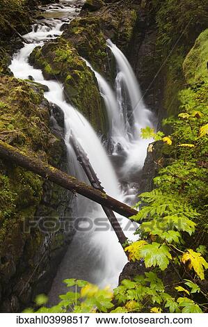 "Sol Duc Falls in the Sol Duc River Valley, Sol Duc Valley, Washington, United States, North America" View Large Photo Image Stock Photo - "Sol Duc Falls in the Sol Duc River Valley, Sol Duc Valley, Washington, United States, North America". Fotosearch