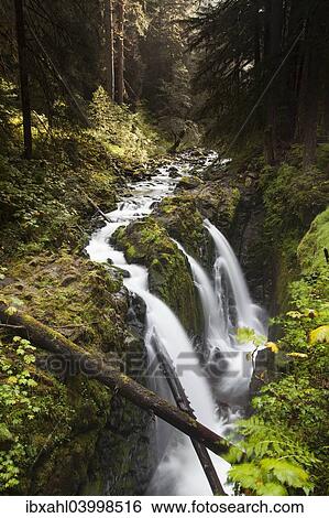 Stock Photograph - "Sol Duc Falls in the Sol Duc River Valley, Sol Duc Valley, Washington, United States, North America". Fotosearch