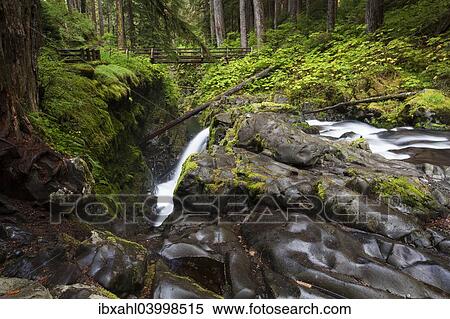 Stock Photography - "Sol Duc Falls in the Sol Duc River Valley, Sol Duc Valley, Washington, United States, North America". Fotosearch