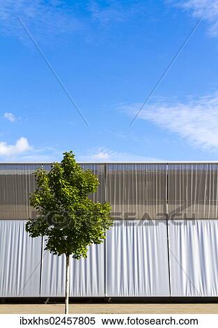 "Solitary tree in front of an industrial building, Berlin, Germany, Europe" View Large Photo Image Stock Photography - "Solitary tree in front of an industrial building, Berlin, Germany, Europe". Fotosearch